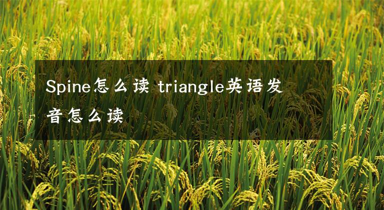 Spine怎么读 triangle英语发音怎么读