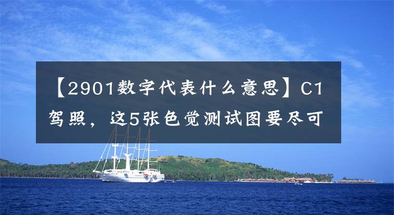 【2901数字代表什么意思】C1驾照，这5张色觉测试图要尽可能全部识别。文章配图