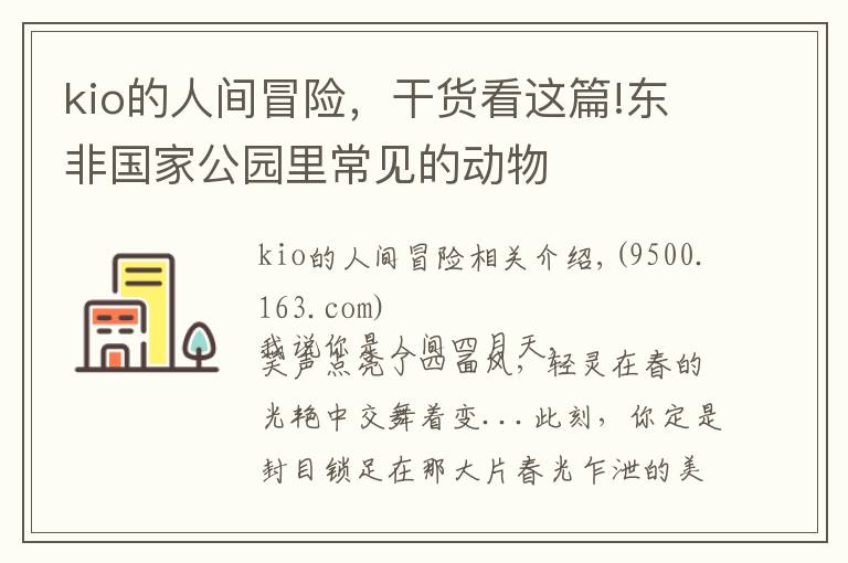 kio的人间冒险，干货看这篇!东非国家公园里常见的动物