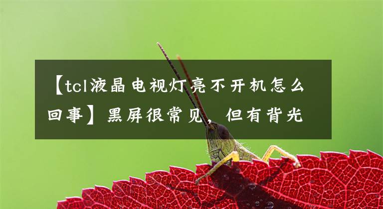 【tcl液晶电视灯亮不开机怎么回事】黑屏很常见，但有背光的TCL液晶电视文章配图