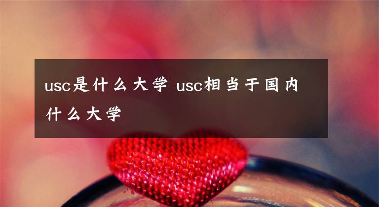 usc是什么大学 usc相当于国内什么大学