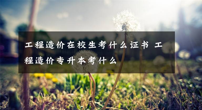 工程造价在校生考什么证书 工程造价专升本考什么文章配图