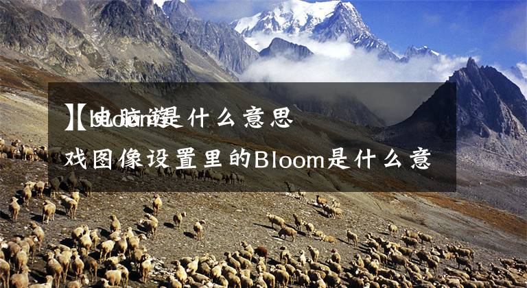 【bloom是什么意思
】电脑游戏图像设置里的Bloom是什么意思？