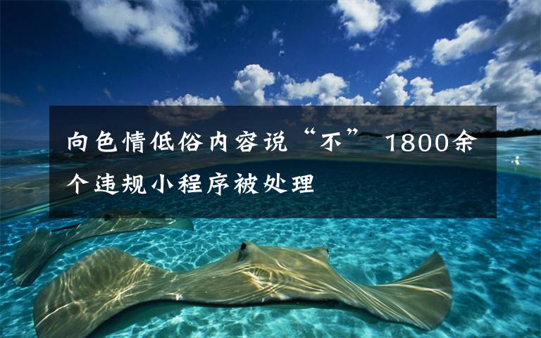 向色情低俗内容说“不” 1800余个违规小程序被处理文章配图