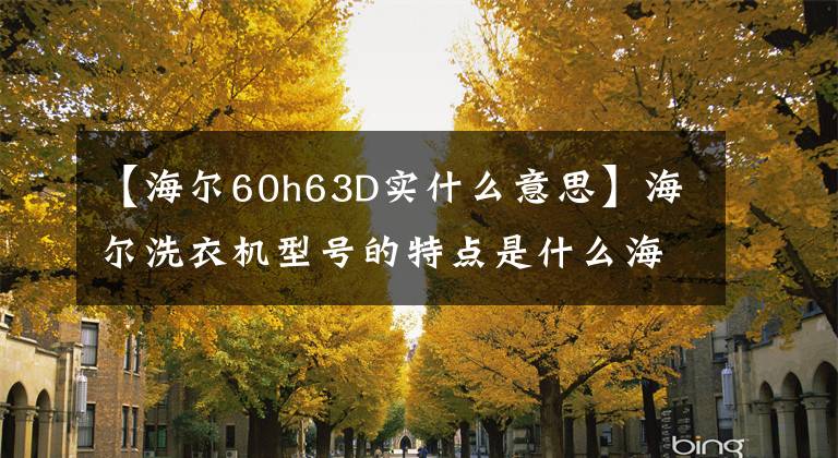 【海尔60h63D实什么意思】海尔洗衣机型号的特点是什么海尔洗衣机价格是多少？