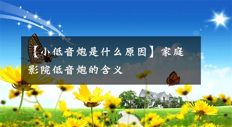 【小低音炮是什么原因】家庭影院低音炮的含义文章配图
