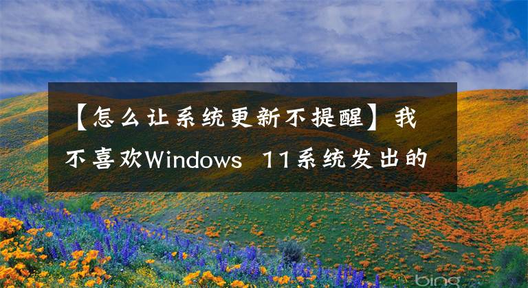 【怎么让系统更新不提醒】我不喜欢Windows  11系统发出的系统通知。可以这样禁用