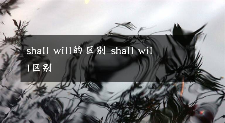 shall will的区别 shall will区别