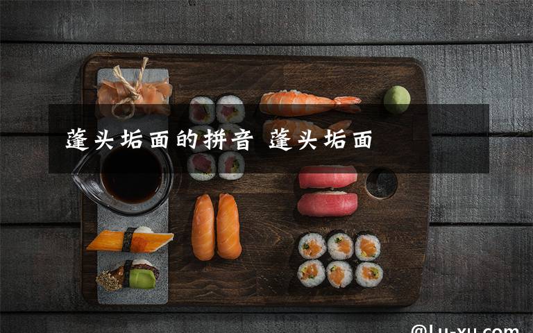 蓬头垢面的拼音 蓬头垢面文章配图