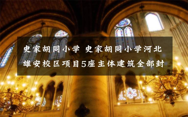 史家胡同小学 史家胡同小学河北雄安校区项目5座主体建筑全部封顶文章配图