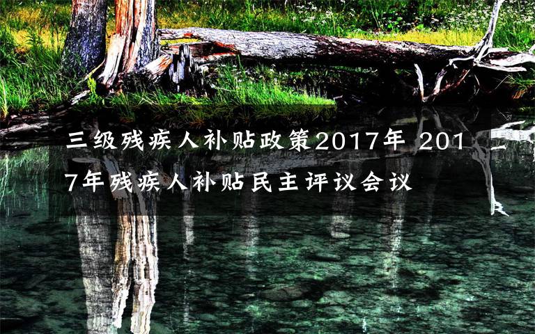 三级残疾人补贴政策2017年 2017年残疾人补贴民主评议会议