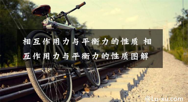 相互作用力与平衡力的性质 相互作用力与平衡力的性质图解文章配图
