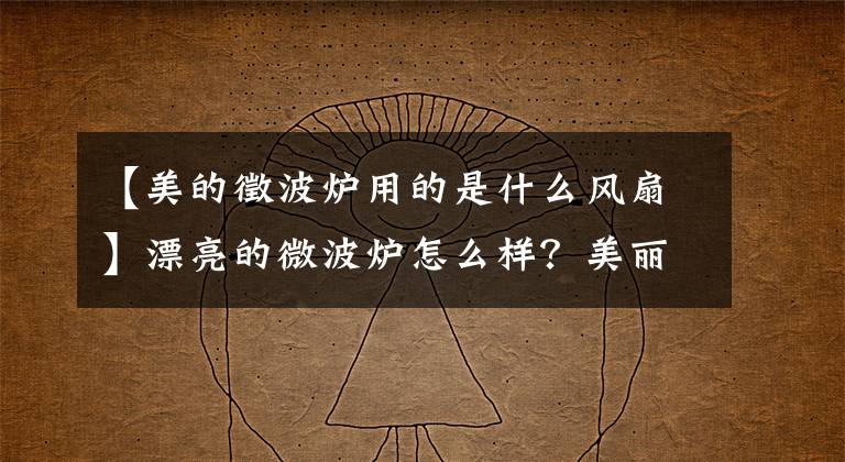 【美的徵波炉用的是什么风扇】漂亮的微波炉怎么样？美丽的微波炉特别介绍。