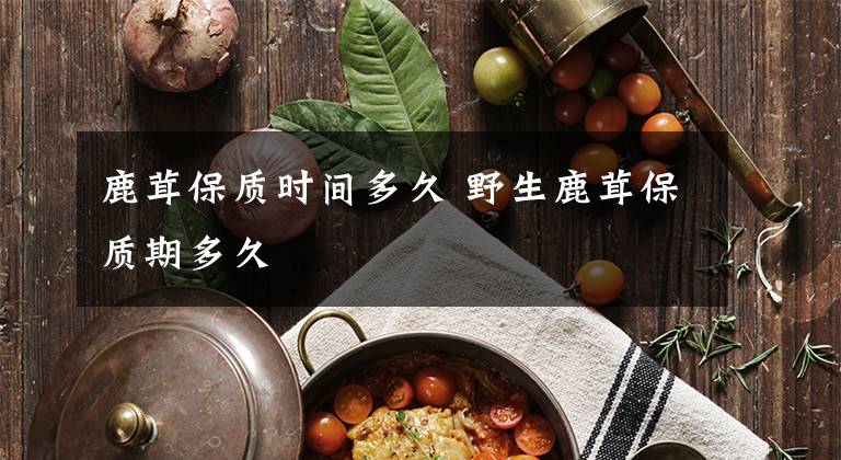 鹿茸保质时间多久 野生鹿茸保质期多久文章配图
