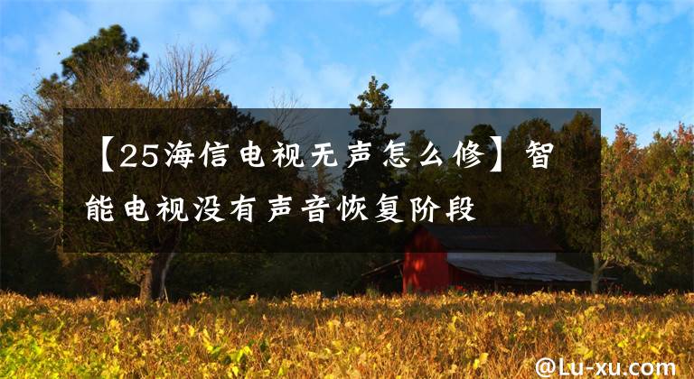 【25海信电视无声怎么修】智能电视没有声音恢复阶段文章配图