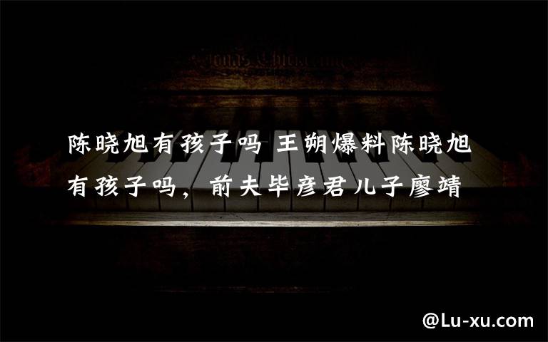 陈晓旭有孩子吗 王朔爆料陈晓旭有孩子吗，前夫毕彦君儿子廖靖宇文章配图