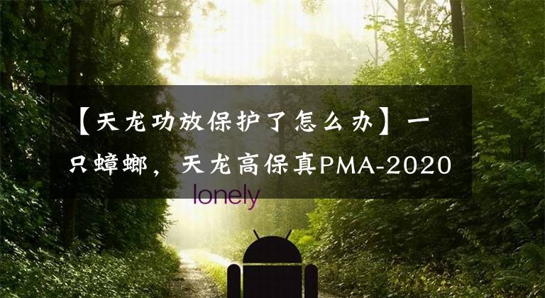 【天龙功放保护了怎么办】一只蟑螂，天龙高保真PMA-2020维修实录，