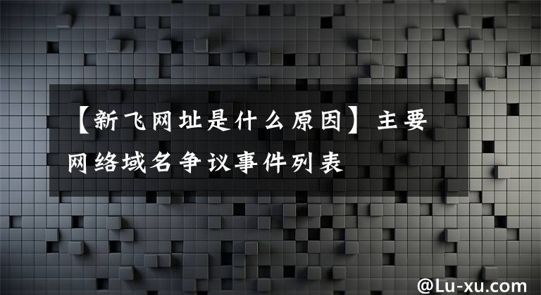 【新飞网址是什么原因】主要网络域名争议事件列表