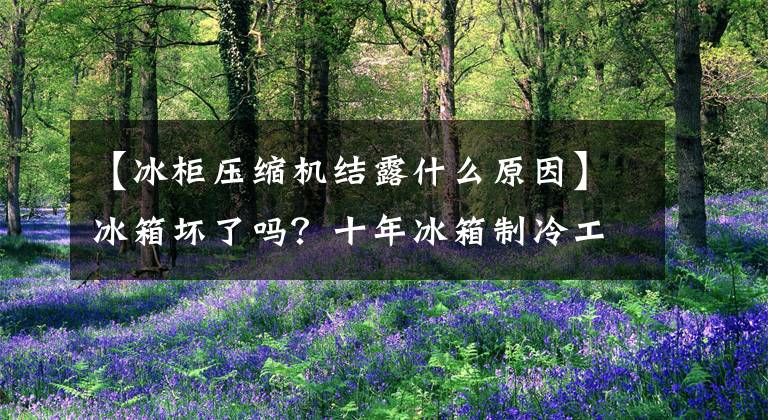 【冰柜压缩机结露什么原因】冰箱坏了吗？十年冰箱制冷工程师教你分辨维修！(强烈推荐所长！)。文章配图