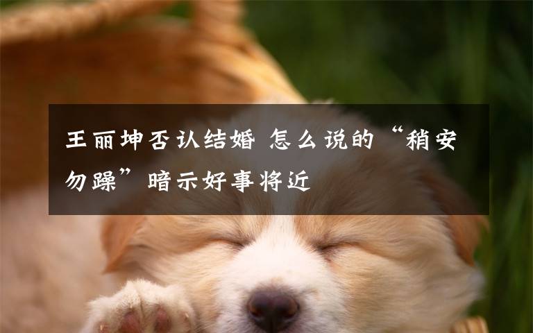 王丽坤否认结婚 怎么说的“稍安勿躁”暗示好事将近文章配图