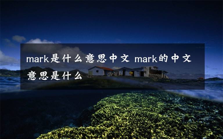 mark是什么意思中文 mark的中文意思是什么文章配图