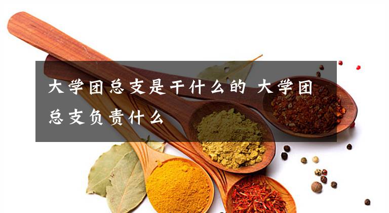 大学团总支是干什么的 大学团总支负责什么文章配图