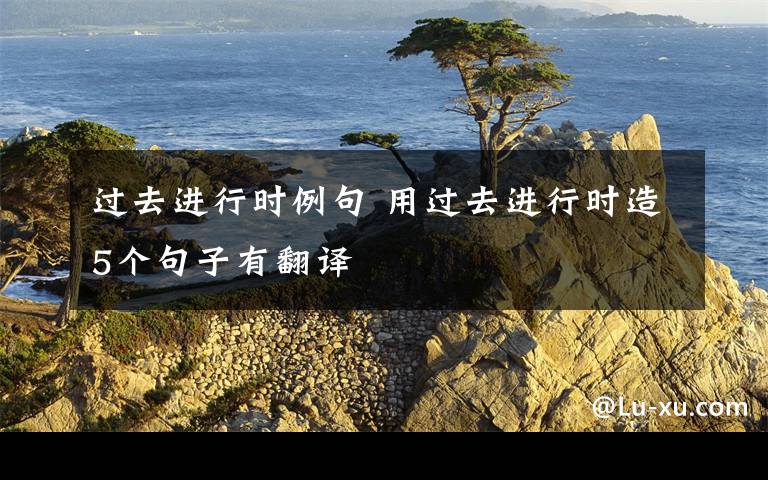 过去进行时例句 用过去进行时造5个句子有翻译文章配图