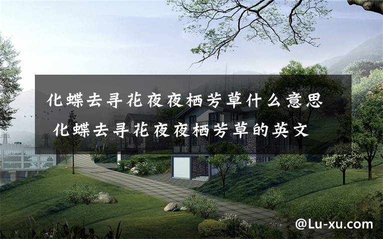 化蝶去寻花夜夜栖芳草什么意思 化蝶去寻花夜夜栖芳草的英文