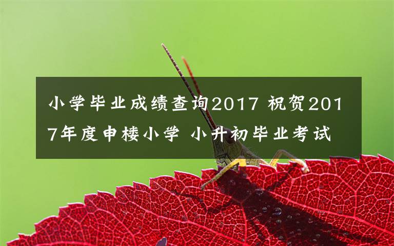 小学毕业成绩查询2017 祝贺2017年度申楼小学 小升初毕业考试中常晓雅等同学取得优秀成绩！