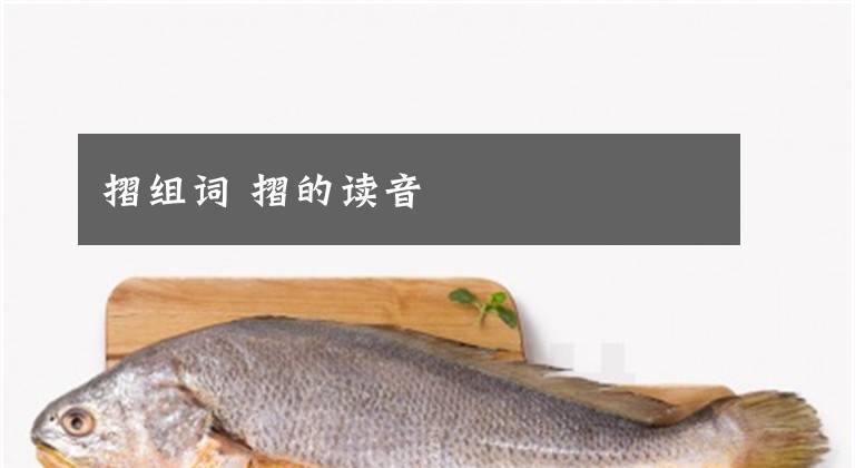 摺组词 摺的读音文章配图