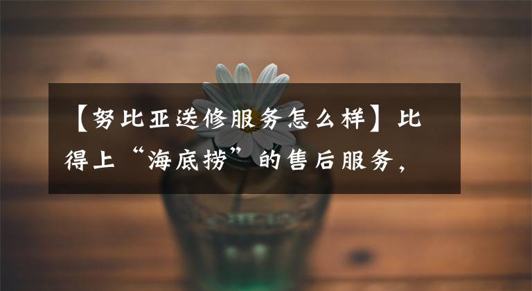 【努比亚送修服务怎么样】比得上“海底捞”的售后服务，手机制造商中只有一家。文章配图