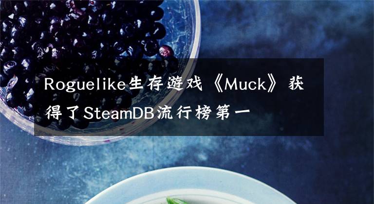 Roguelike生存游戏《Muck》获得了SteamDB流行榜第一