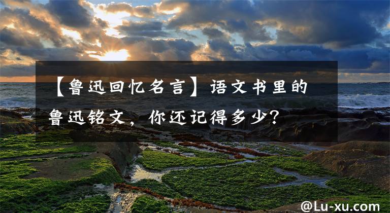 【鲁迅回忆名言】语文书里的鲁迅铭文，你还记得多少？