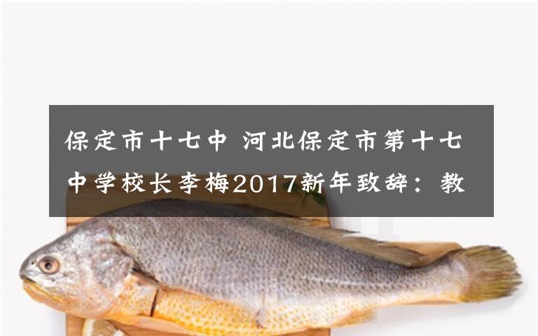 保定市十七中 河北保定市第十七中学校长李梅2017新年致辞：教育就是陪伴并与孩子们一起成长