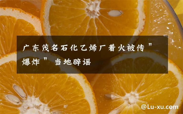 广东茂名石化乙烯厂着火被传＂爆炸＂ 当地辟谣文章配图