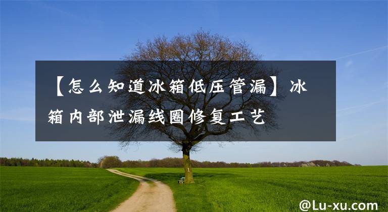 【怎么知道冰箱低压管漏】冰箱内部泄漏线圈修复工艺文章配图