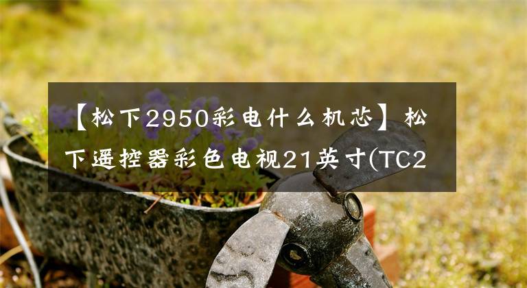 【松下2950彩电什么机芯】松下遥控器彩色电视21英寸(TC2173 12R、M15L马达)