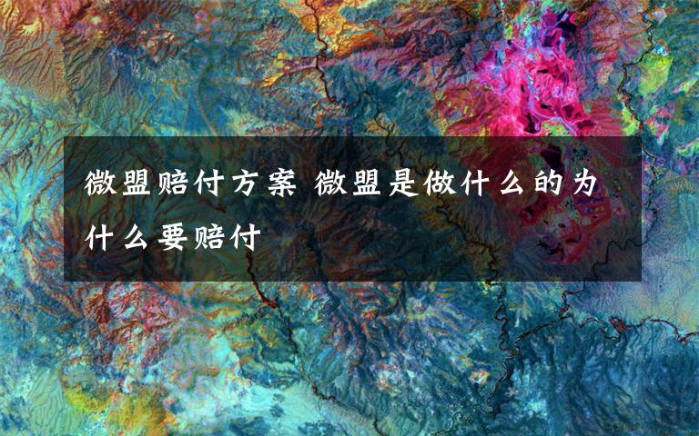 微盟赔付方案 微盟是做什么的为什么要赔付文章配图