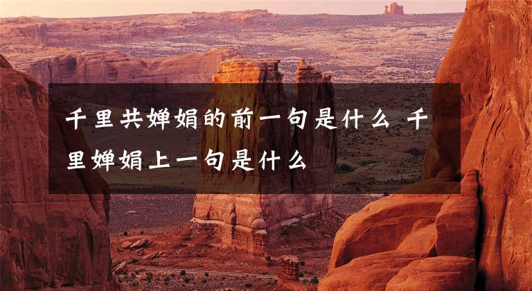 千里共婵娟的前一句是什么 千里婵娟上一句是什么文章配图