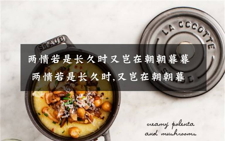 两情若是长久时又岂在朝朝暮暮 两情若是长久时,又岂在朝朝暮暮翻译成英文文章配图