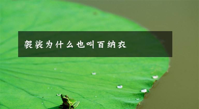 袈裟为什么也叫百纳衣文章配图