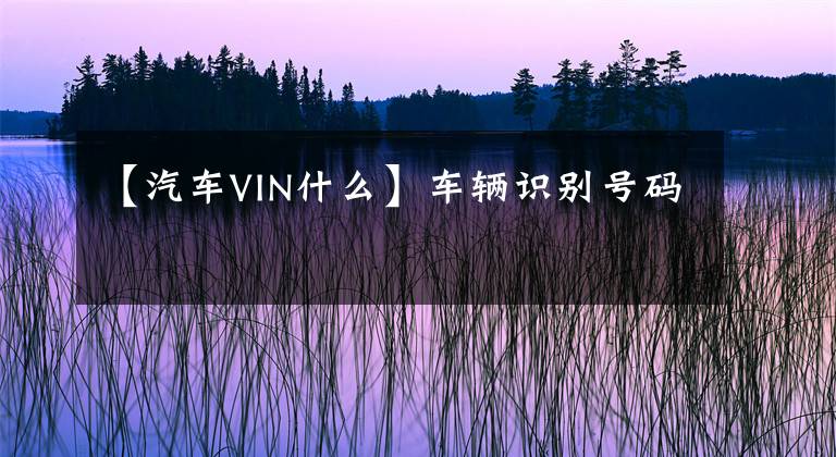 【汽车VIN什么】车辆识别号码