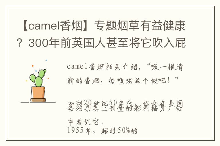 【camel香烟】专题烟草有益健康？300年前英国人甚至将它吹入屁股来做心肺复苏