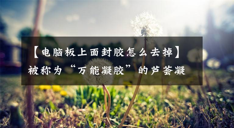 【电脑板上面封胶怎么去掉】被称为“万能凝胶”的芦荟凝胶有多神奇？真的能消除软疤吗？文章配图
