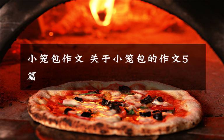 小笼包作文 关于小笼包的作文5篇文章配图