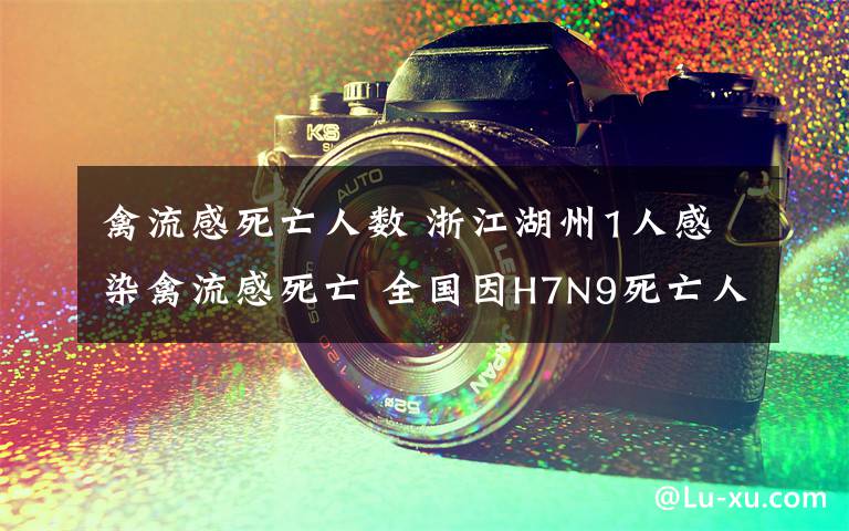 禽流感死亡人数 浙江湖州1人感染禽流感死亡 全国因H7N9死亡人数增至6人