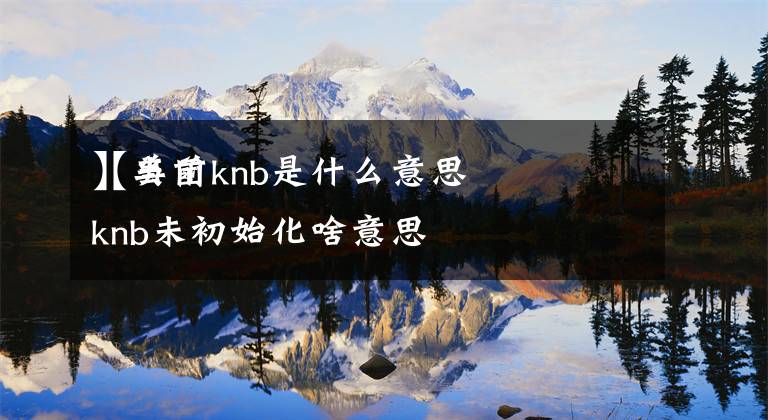 【美团knb是什么意思
】当前knb未初始化啥意思