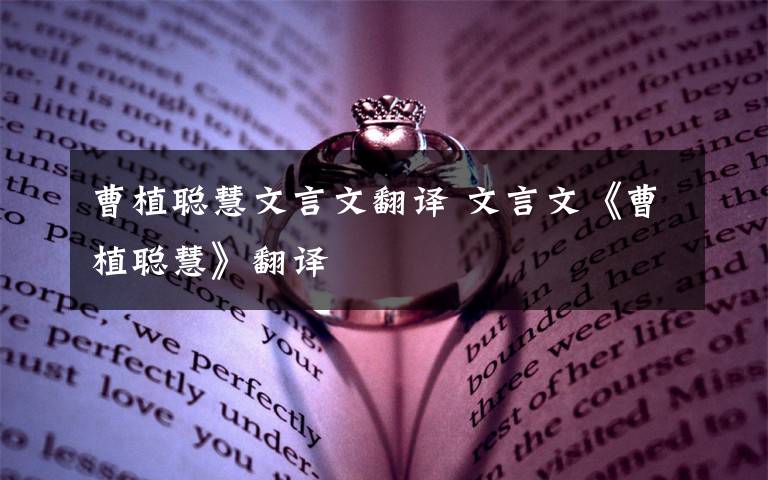 曹植聪慧文言文翻译 文言文《曹植聪慧》翻译文章配图