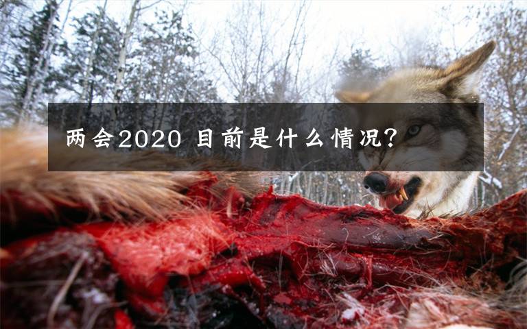 两会2020 目前是什么情况？文章配图