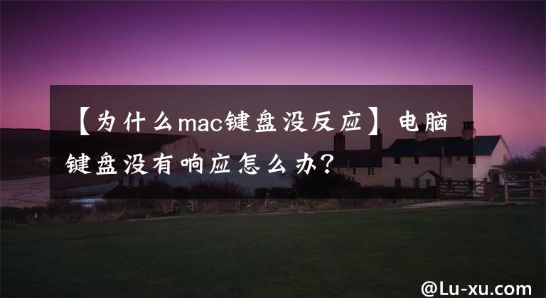 【为什么mac键盘没反应】电脑键盘没有响应怎么办？